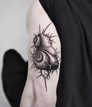 Snails tattoo from my flashes Snails Tattoo